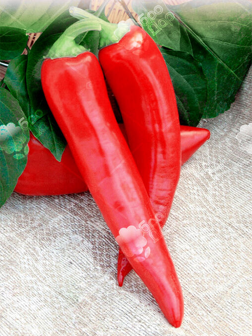 Перец острый Пимент дэ Бресс (20шт)